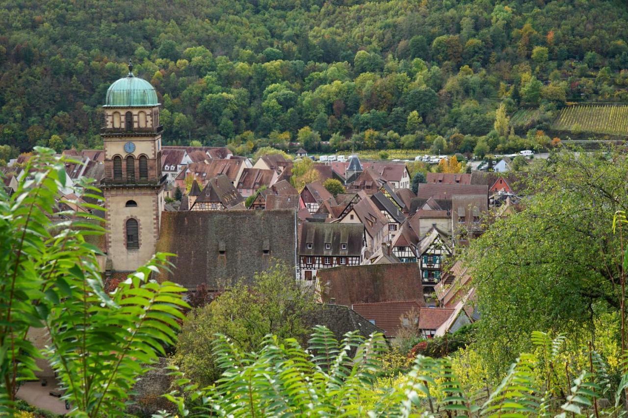 Gite Du Xve Kaysersberg-Vignoble Bagian luar foto
