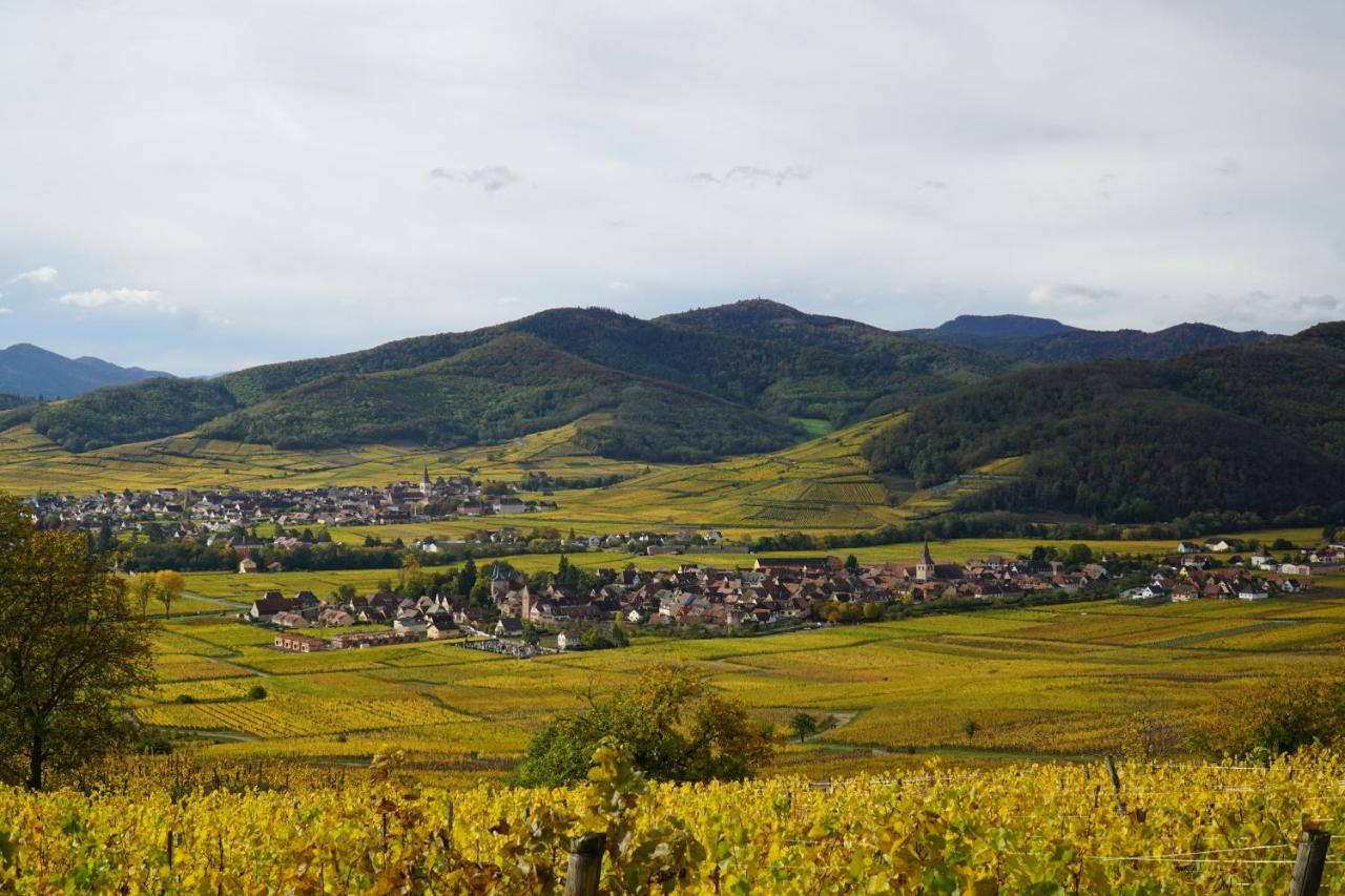 Gite Du Xve Kaysersberg-Vignoble Bagian luar foto