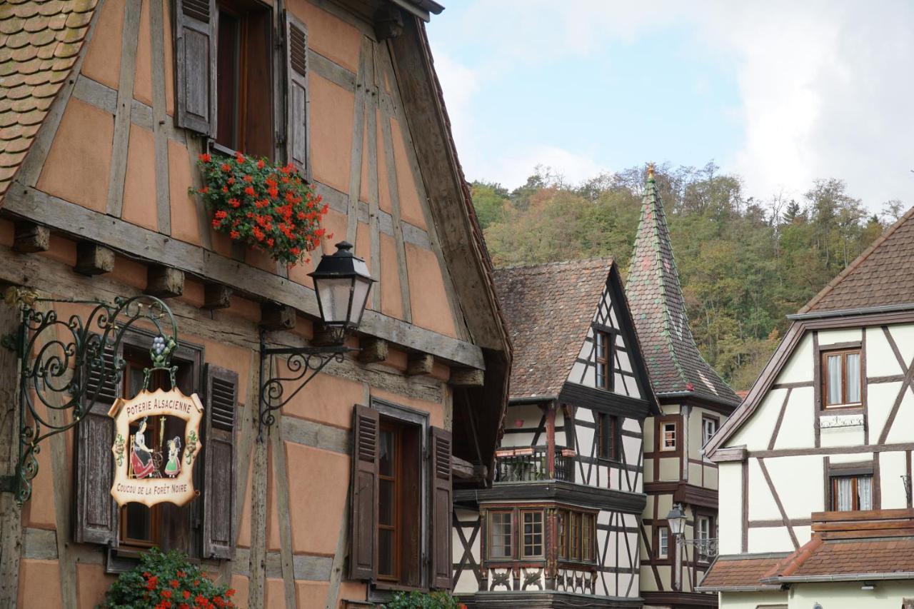 Gite Du Xve Kaysersberg-Vignoble Bagian luar foto