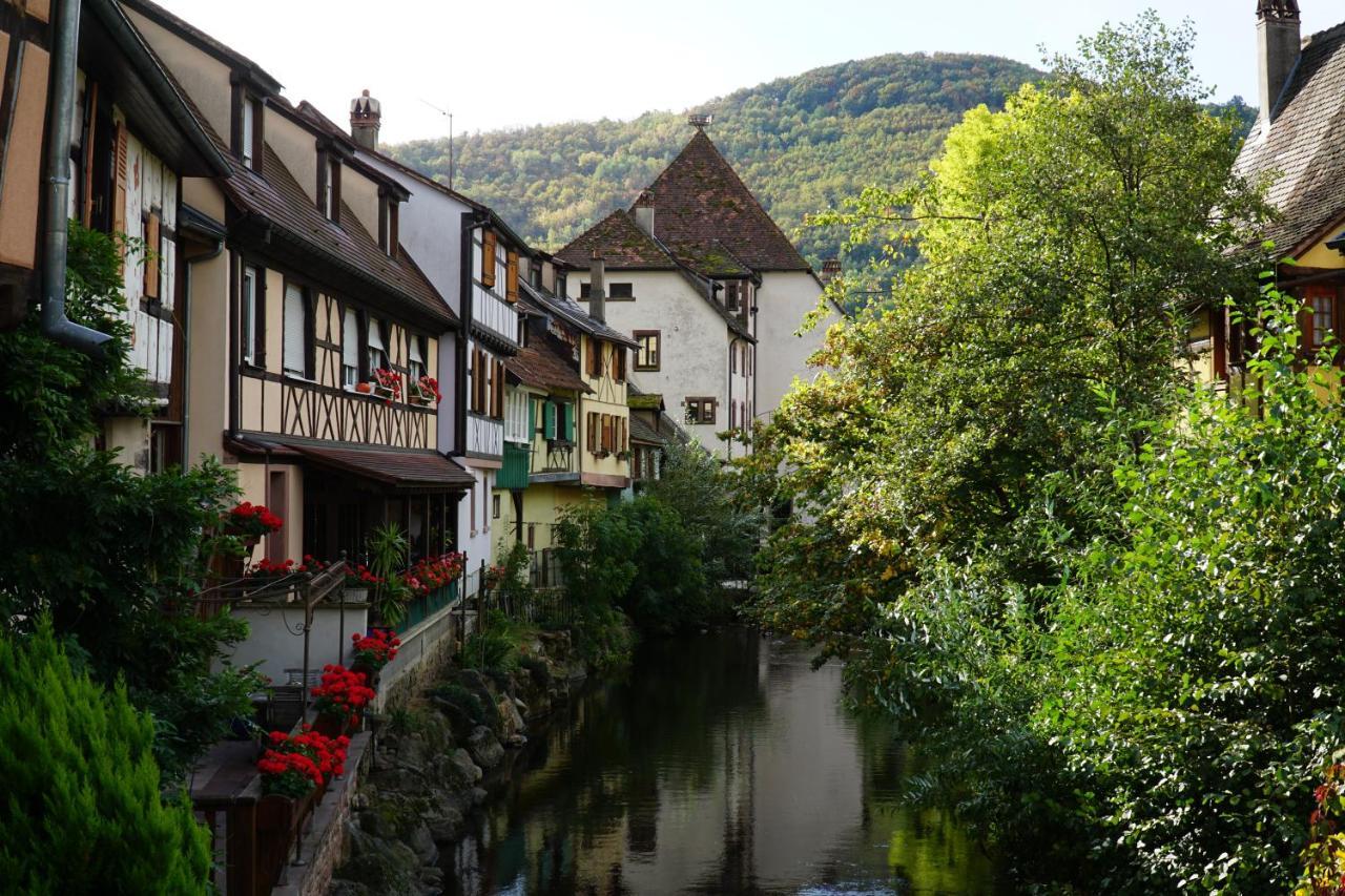 Gite Du Xve Kaysersberg-Vignoble Bagian luar foto